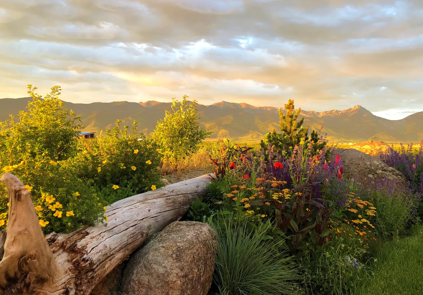 Surrounded by beautiful plants and flowers.
