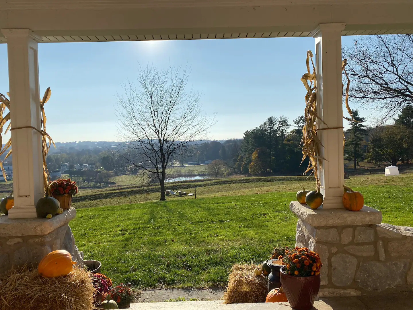 Front Porch View