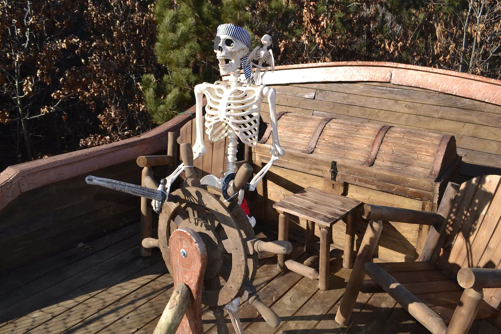 Skelly the Pirate ship Captain!