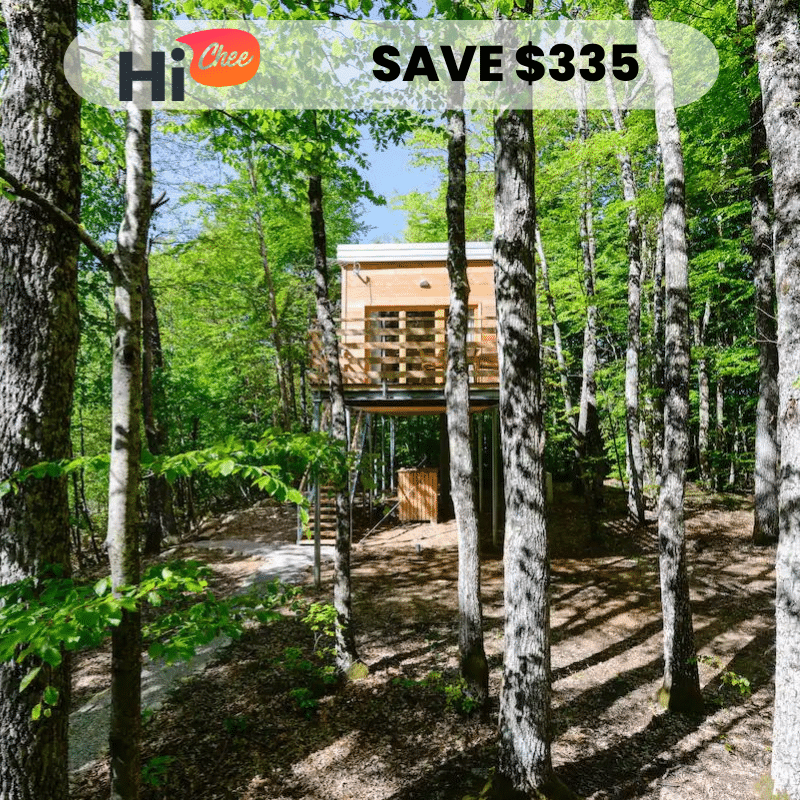 Copy-of-SAVE-3737-1