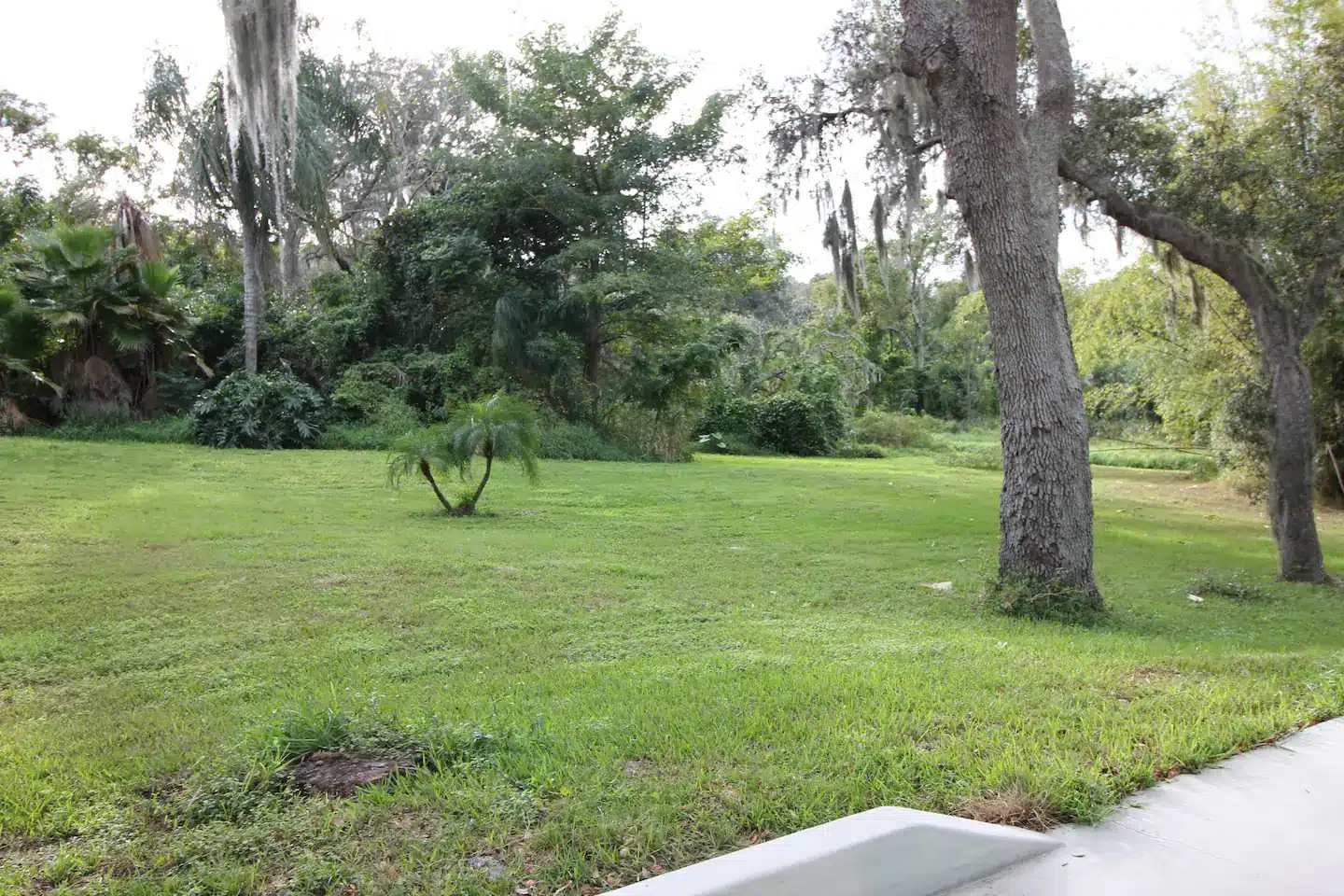Side yard, only one quiet neighbor 100 yards away