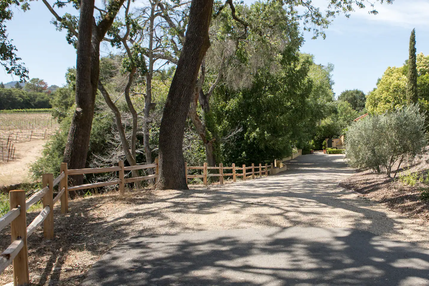 Have a relaxing walk with your loved one.