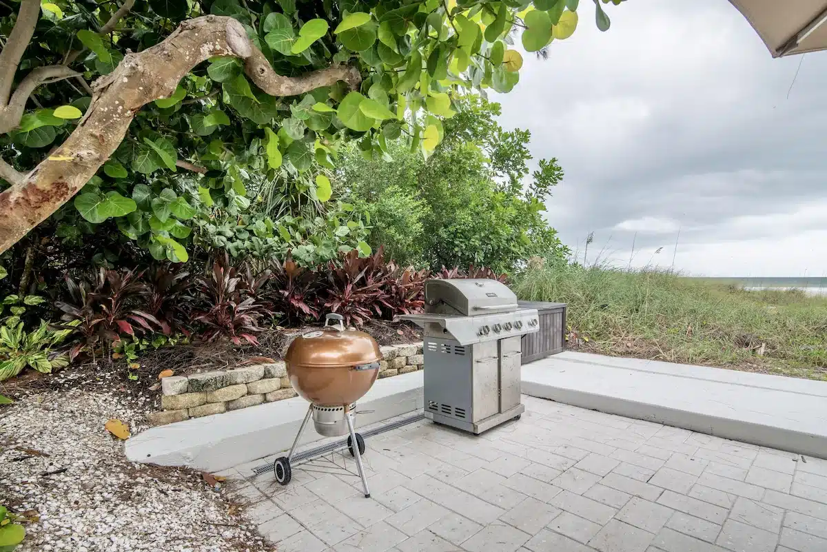 Charcoal and gas BBQ grills
